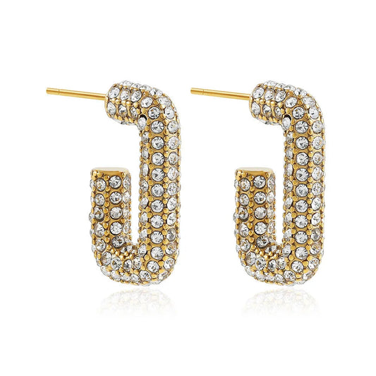 Iced Out Earrings